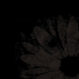 nk & amm04 的头像