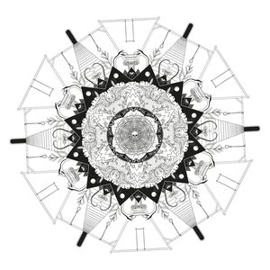 Holoparasitic
