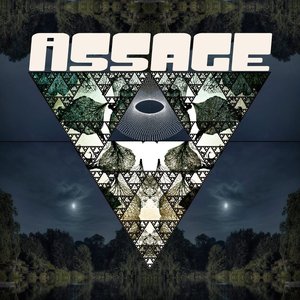 Assage 的头像