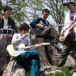 any plants attention 的头像