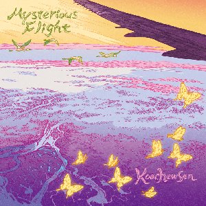 Mysterious Flight
