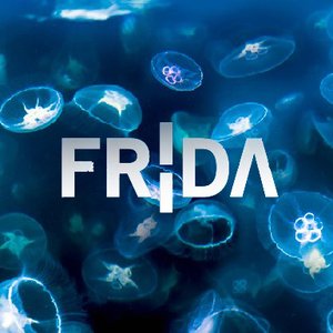 Frìda 的头像