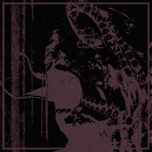 Rot Prophet