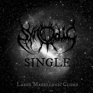 The Large Magellanic Cloud