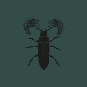 Featherhorned Beetle EP