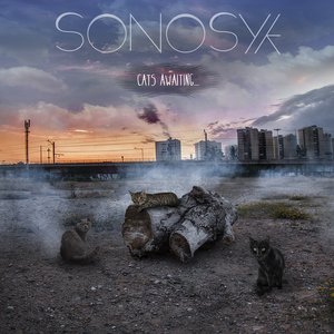 Sonosyk 的头像