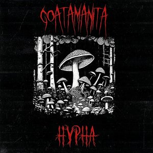 Hypha