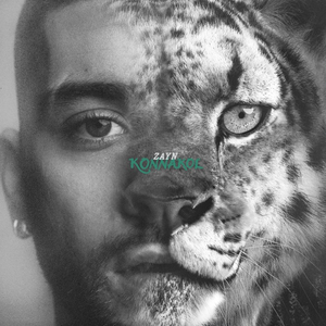 Zayn - Side Effects Lyrics - Zortam Music