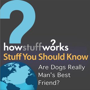 Are Dogs Really Man's Best Friend?