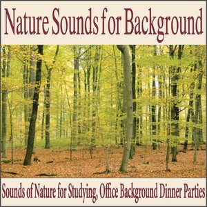 Nature Sounds for Background (Sounds of Nature for Studying, Office Background Dinner Parties)