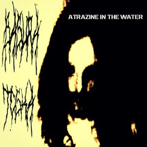 Atrazine in the Water