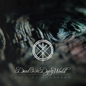 Live at Roadburn