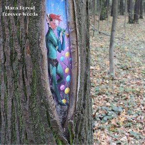 Аватар для Mana Forest