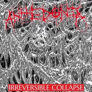 IRREVERSIBLE COLLAPSE - EP