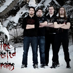The Infected Brains 的头像