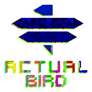 'actual bird'の画像