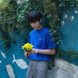 Fool - Single