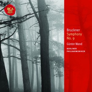 Immagine per 'Bruckner: Symphony No. 9'