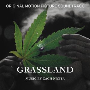 Grassland