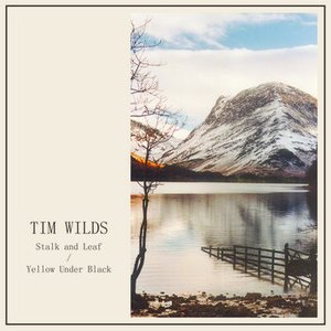 Stalk and Leaf / Yellow Under Black