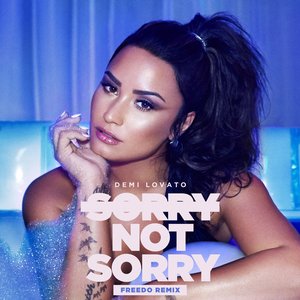 Sorry Not Sorry (Freedo Remix)