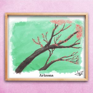 Arizona