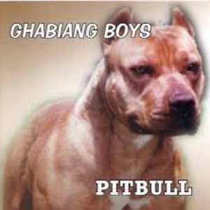 Pitbull