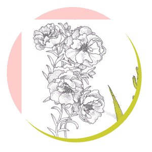 Professional Flowers 的头像