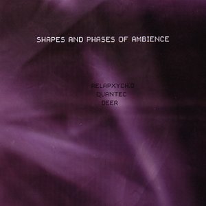 Shapes and Phases of Ambience