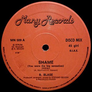 Shame (You Were The Big Sensation)