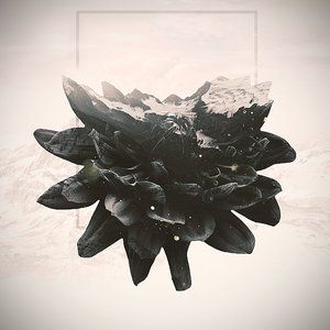 Catharsis [Explicit]