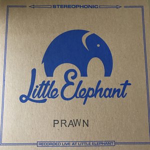 Little Elephant Sessions