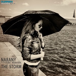 The Storm (feat. Krayzee)