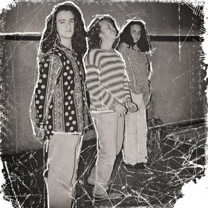 Psicodencia 的头像