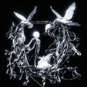 Cherry Blossom Summer