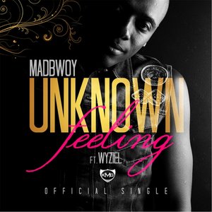 Unknown Feeling (feat. Wyziel)