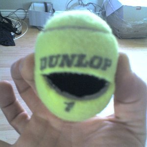 fuzzy dunlop 的头像