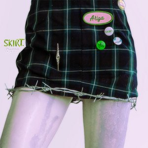 Avatar for SKIRT.