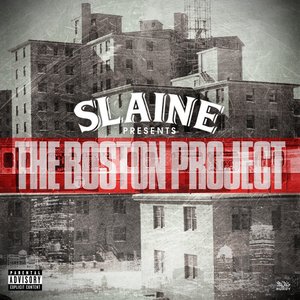 The Boston Project