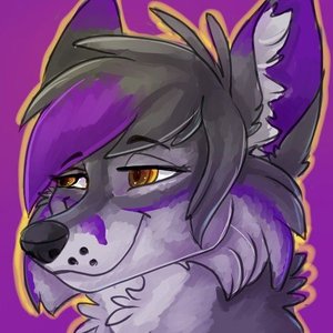 Avatar for Saxxon Fox