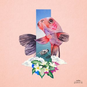 Waters / umi