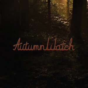 AutumnWatch 的头像