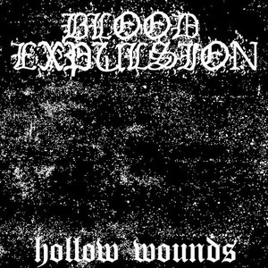 Hollow Wounds