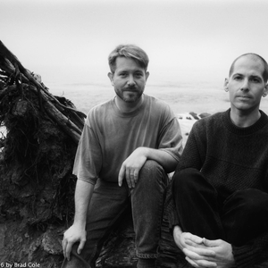 Amoeba photo provided by Last.fm