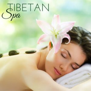 Аватар для Massage Therapy Ensamble