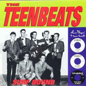 The Teenbeats のアバター