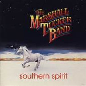 Country Rock Masters: Southern Spirit