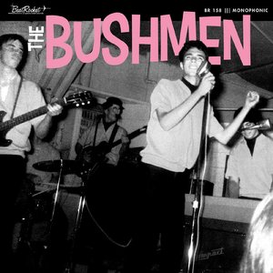 the bushmen