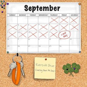 Counting Down the Days - Single