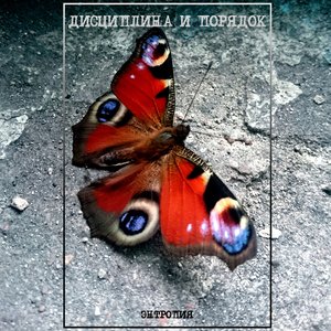 Энтропия